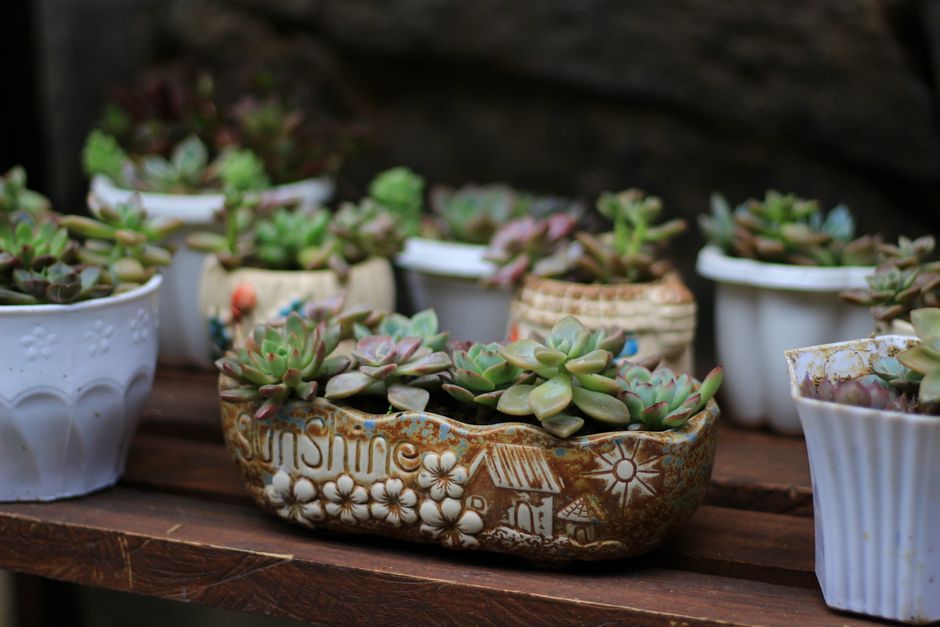 Creatieve verticale moestuin met palletten op balkon.