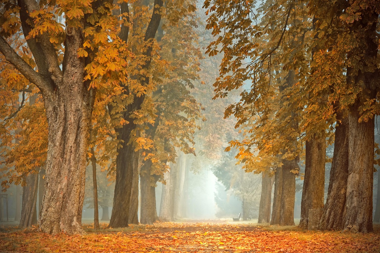 Composthoop gemaakt van tuinafval herfstklaar. Composthoop gemaakt van tuinafval herfstklaar.