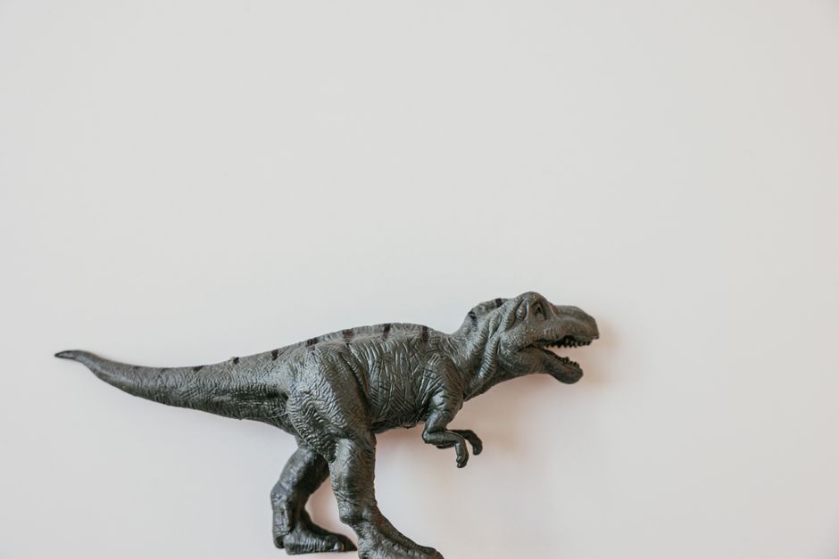 Dinosaurus behang in een winterse kinderkamer. Dinosaurus behang in een winterse kinderkamer.